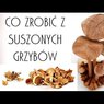 Sezon na grzyby trwa! Dowiedz się, w jaki sposób prawidłowo je suszyć