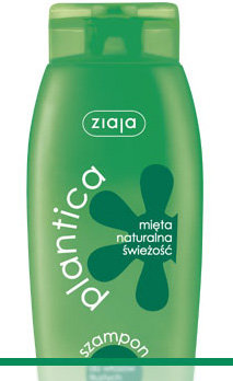 Plantica - Mięta naturalna świeżość - szampon do włosów tłustych