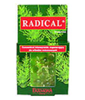 Radical - Koncentrat intensywnie regenerujący włosy