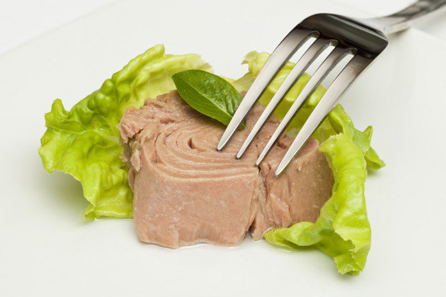 4. TuńczykZawarte w tuńczyku kwasy tłuszczowe omega-3 mogą znacząco zmniejszyć stan zapalny i powysiłkowy ból mięśni. Poza tym, białka zawarte w rybach przyśpieszają metabolizm i ułatwiają proces redukcji tkanki tłuszczowej. Dzięki temu na sylwetce stopniowo pojawia się ładny zarys mięśni.
