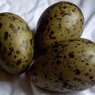 Ile kosztuje najdroższy omlet na świecie?