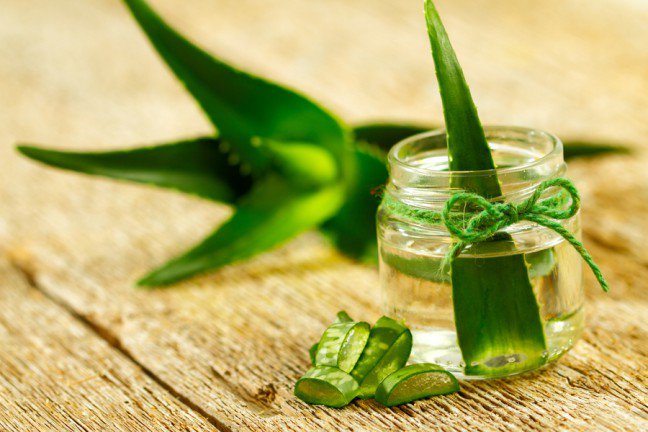 5. AloesAloes ma różnorodne zastosowanie i jest słynny w kosmetyce i medycynie. Aloes ma właściwości antyseptyczne i przeciwgrzybiczne, które mają działanie nawilżające, odżywcze, kojące oraz wspomagają regenerację skóry. Aby złagodzić suchą, swędzącą skórę, użyj żelu znajdującego się w środku liścia aloesu i posmaruj nim skórę. Po 15 minutach zmyj ciepłą wodą. Powtarzaj czynność 2 razy dziennie.