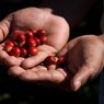 Żywność FairTrade, czyli sprawiedliwy handel