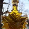 Smaki Kanady - syrop klonowy