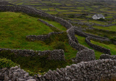 Labirynty utworzone z kamiennych murków na zielonej murawie to najbardziej charakterystyczny widok na Aranach. Pierwsi osadnicy musieli zaadaptować kamieniste podłoże, wydobywając kamienie i układając je w murki chroniące poletka przed wiatrem.