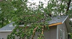 Połamane drzewo na dachu domu - skutki burzy i wichury