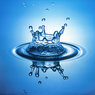 Word of the day: water